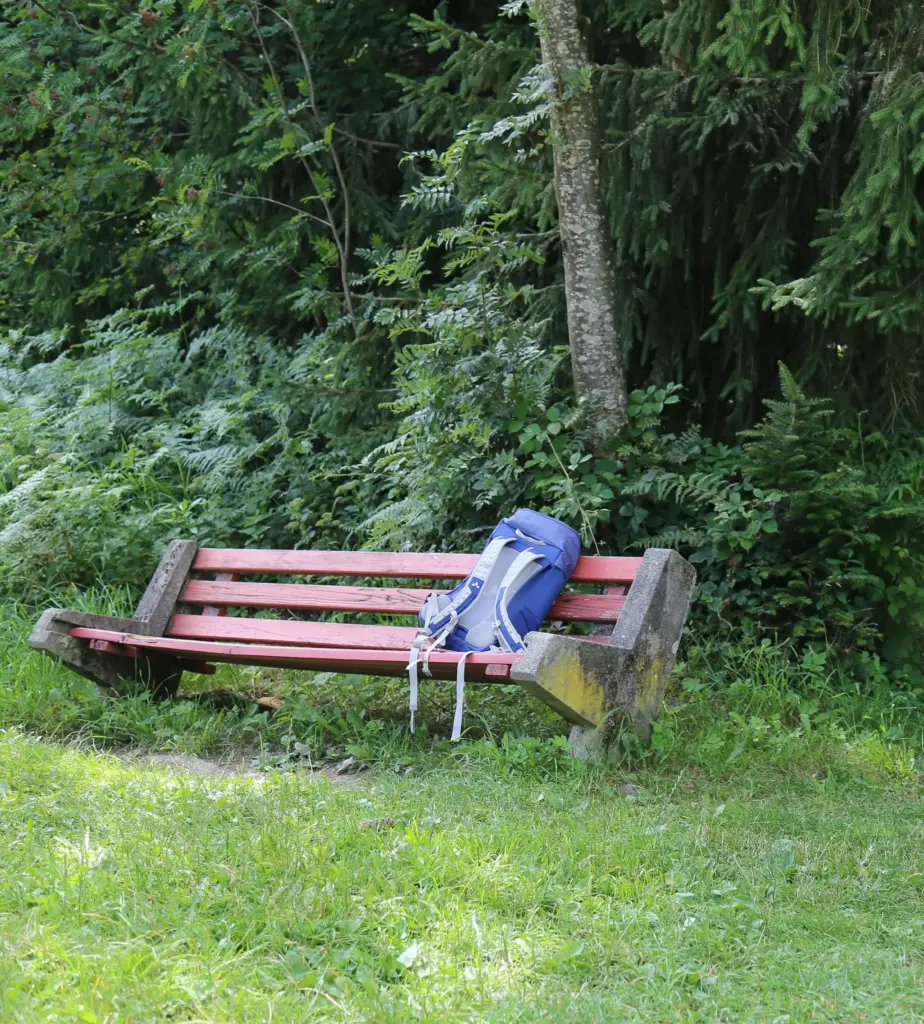 Psychotherapeutin Friedrichshafen, Psychotherapie und Beratung in Friedrichshafen am Bodensee